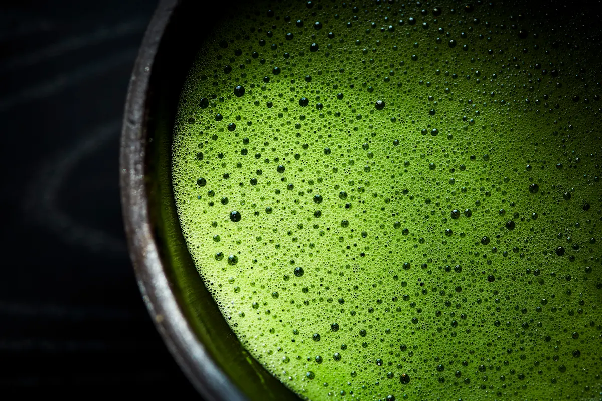 quel matcha choisir?